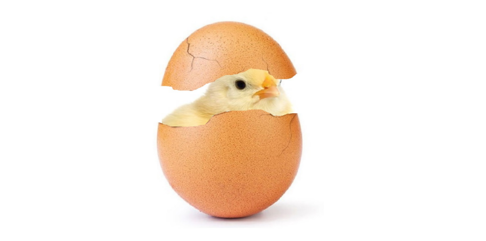 Image du Jeu de l'œuf.